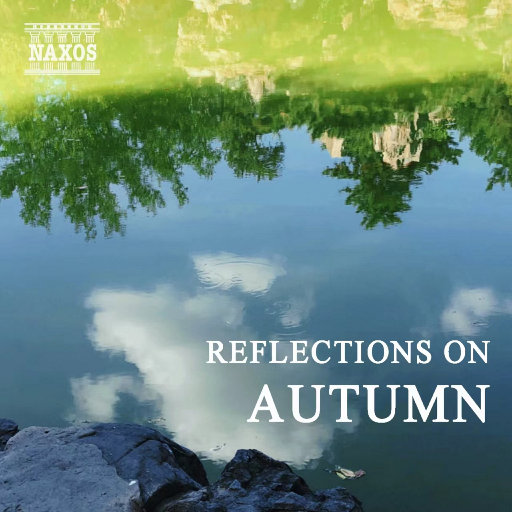 日逼高清视频看看
